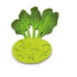 9855 kohlrabi 12 stk b